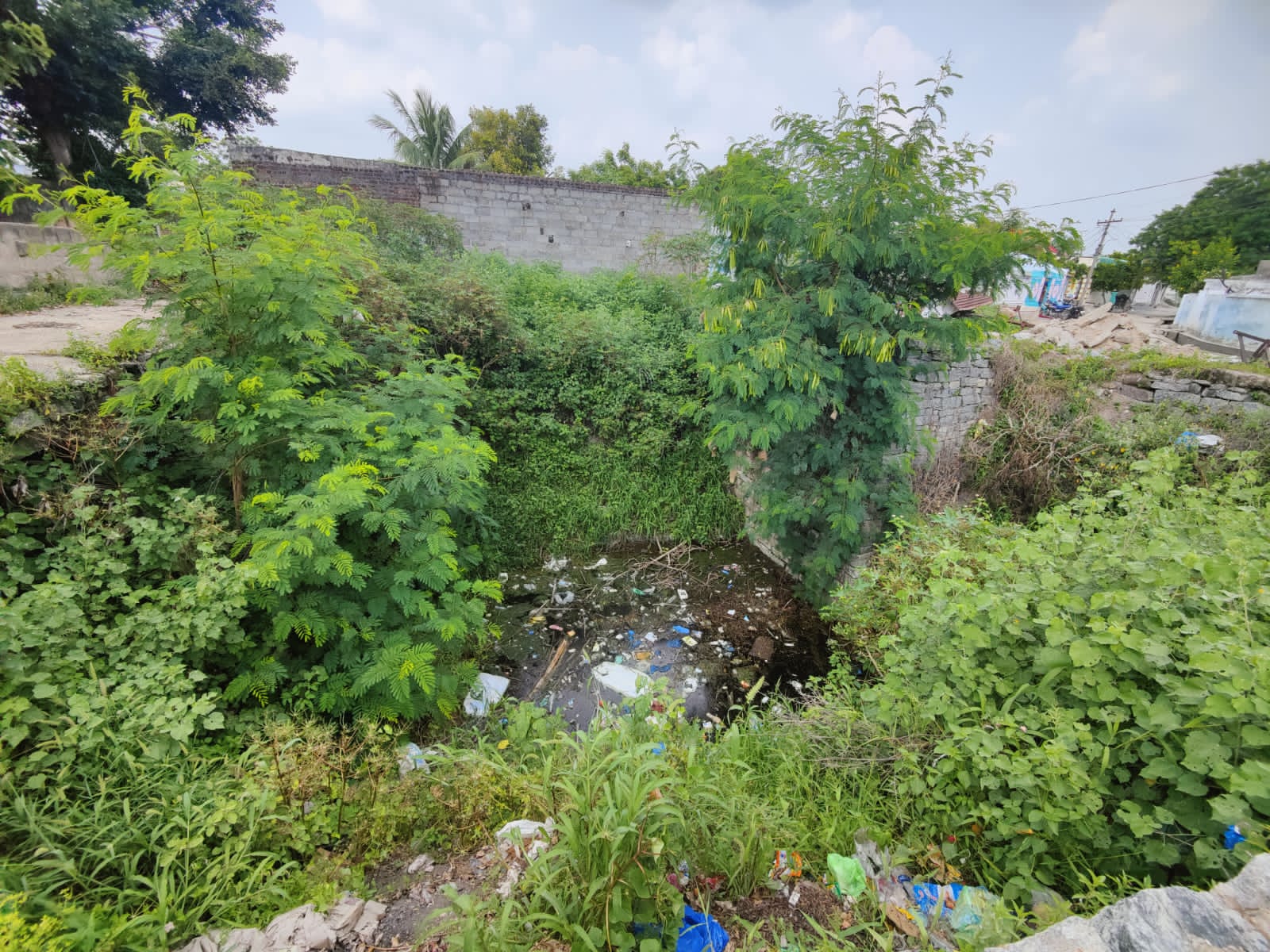 Copy of PHOTO-2023-08-31-15-29-52 (1)