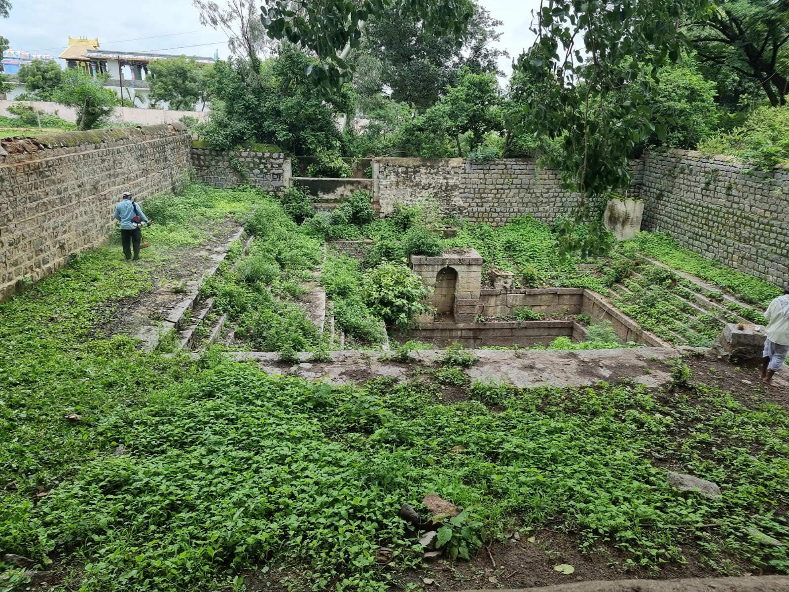 Copy of WhatsApp Image 2022-08-18 at 12.12.17 PM (1)