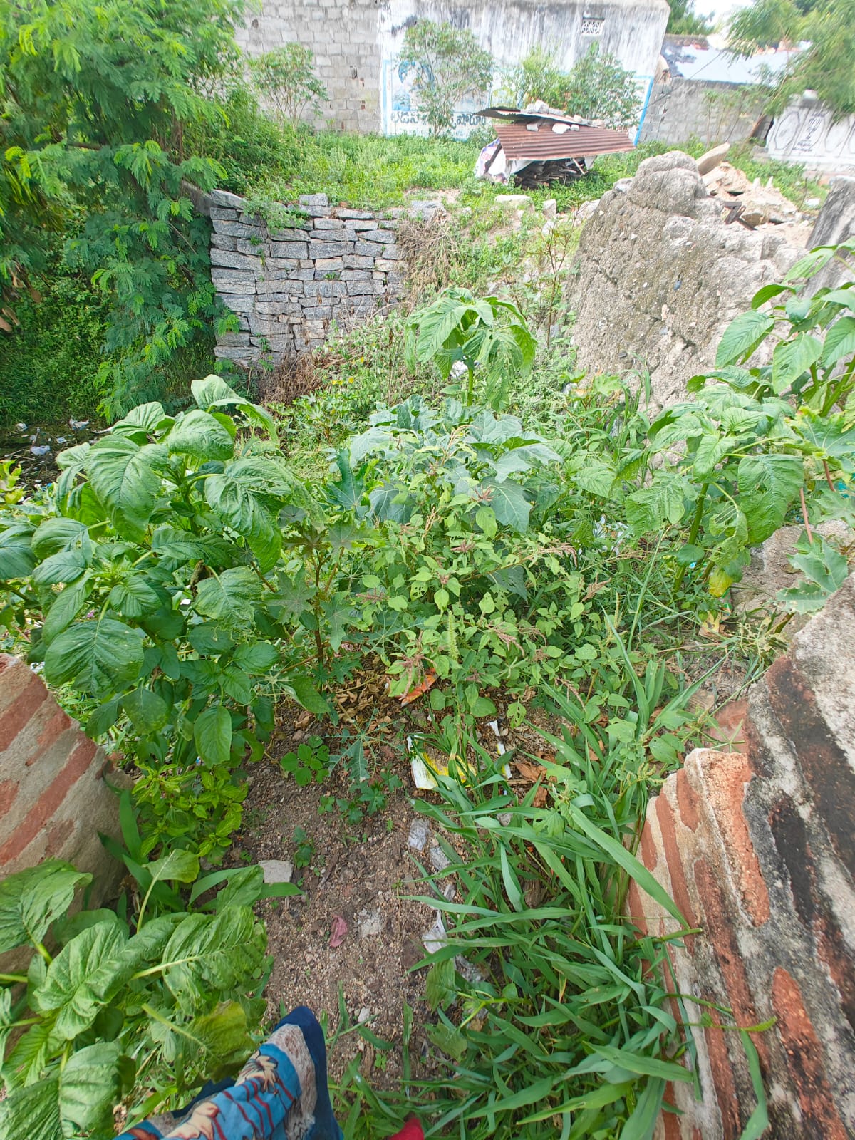 PHOTO-2023-09-04-11-36-11